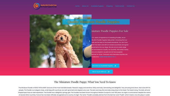 Qualityminipoodlepups.com - Poodle Puppy Scam Review