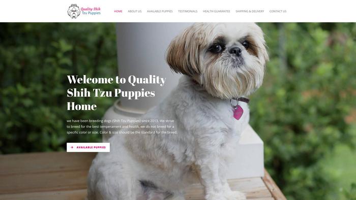 Qualityshihtzupuppies.com - Shihtzu Puppy Scam Review