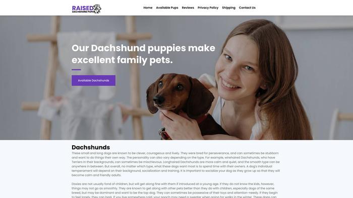 Raiseddachshundpups.com - Dachshund Puppy Scam Review