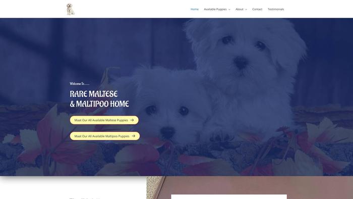 Raremalteseandmaltipoopups.com - Maltese Puppy Scam Review