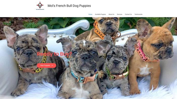 Realcutefrenchbulldogs.com - French Bulldog Puppy Scam Review