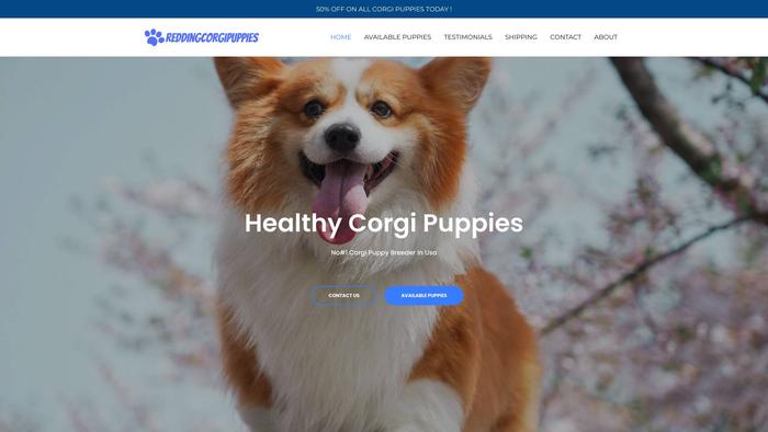 Reddingcorgipuppies.com - Corgi Puppy Scam Review