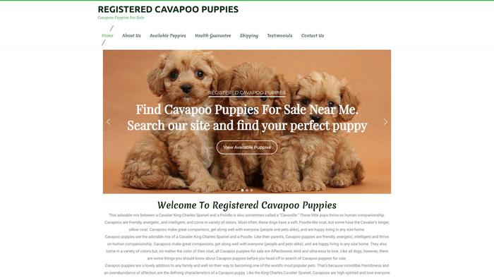 Registeredcavapoopuppies.com - Cavapoo Puppy Scam Review