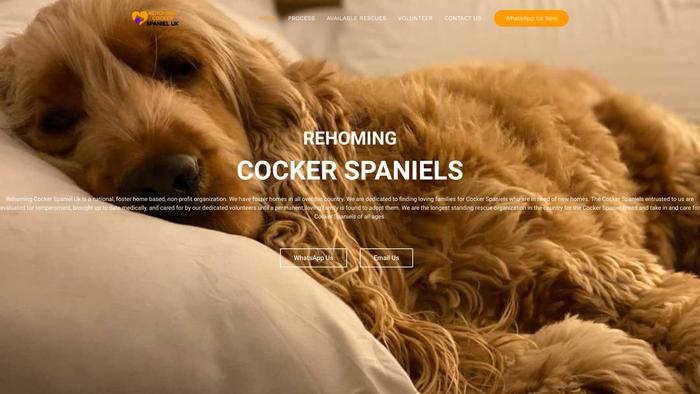 Rehomingcockerspanieluk.com - Cockerspaniel Puppy Scam Review