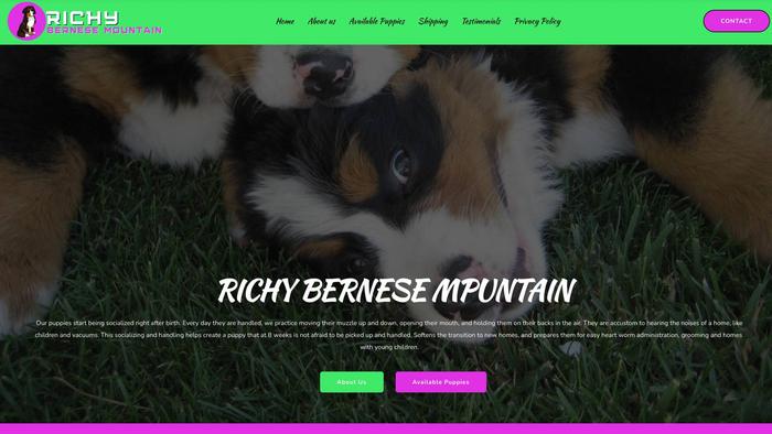 Richybernesemountain.com - Bernese Mountain Dog Puppy Scam Review