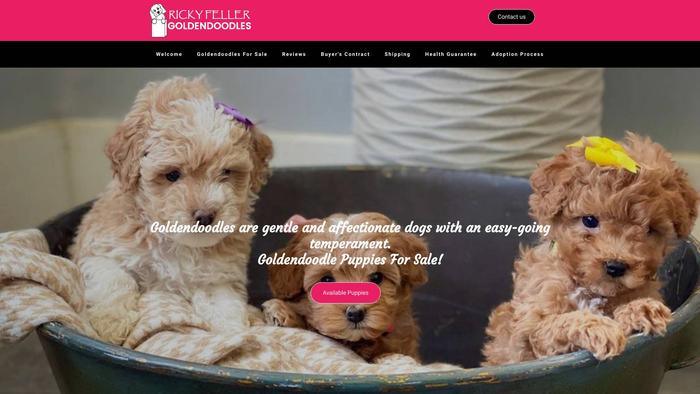 Rickyfellergoldendoodles.com - Golden Doodle Puppy Scam Review