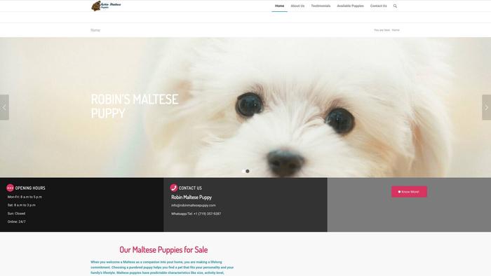 Robinmaltesepuppy.com - Maltese Puppy Scam Review