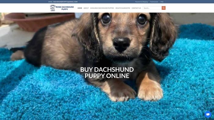 Rosedachshundpuppy.com - Dachshund Puppy Scam Review