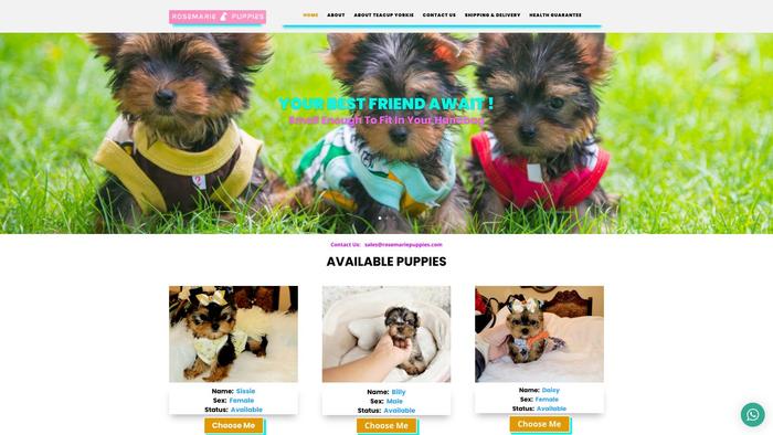 Rosemariepuppies.com - Yorkshire Terrier Puppy Scam Review