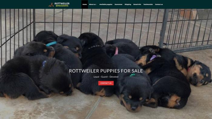 Rottweilerbreederss.com - Rottweiler Puppy Scam Review