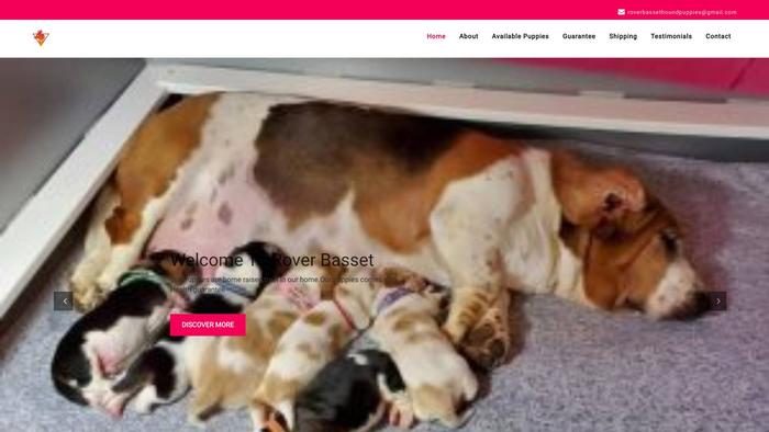 Roverbassethoundpuppies.com - Bassethound Puppy Scam Review