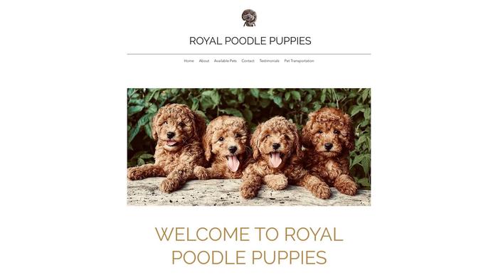 Royal-poodlepuppies.com - Poodle Puppy Scam Review