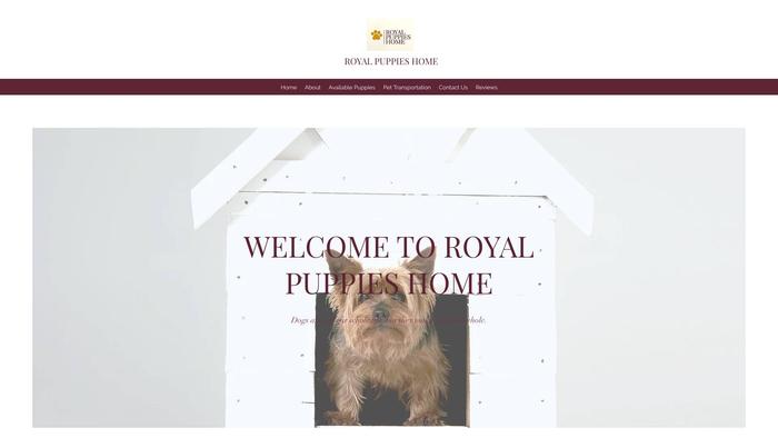 Royal-puppieshome.com - Cavapoo Puppy Scam Review