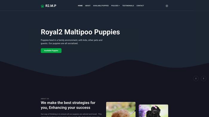 Royal2maltipoopuppies.com - Maltipoo Puppy Scam Review