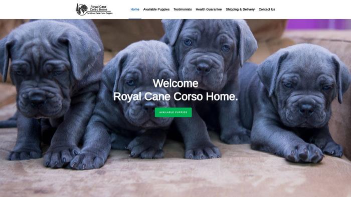 Royalcanecorsohome.com - Cane Corso Puppy Scam Review