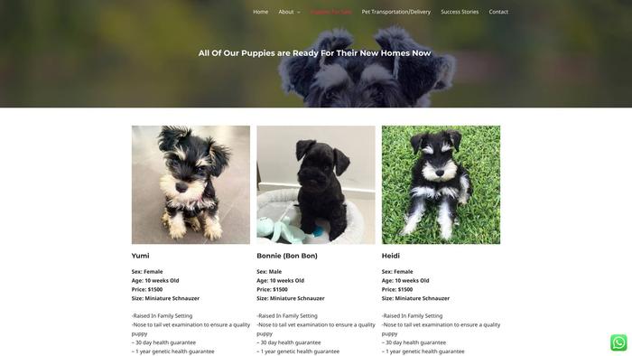 Royalschnauzerhome.com - Schnauzer Puppy Scam Review