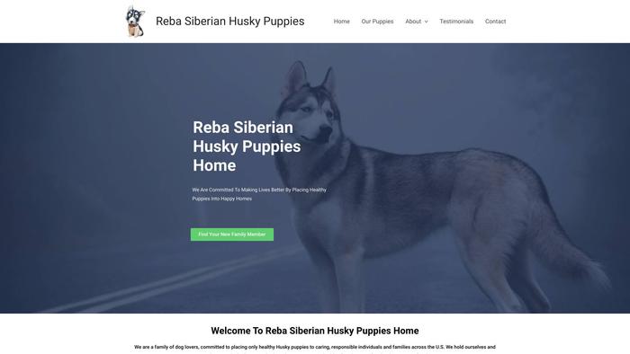 Rsiberianhuskypuppies.com - Husky Puppy Scam Review