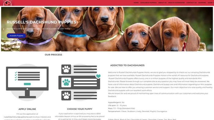 Russelldachshundpupshome.com - Golden Retriever Puppy Scam Review