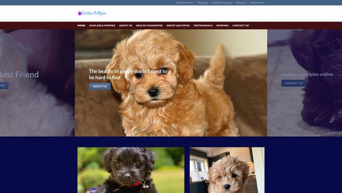 Santinomaltipoo.com - Maltipoo Puppy Scam Review