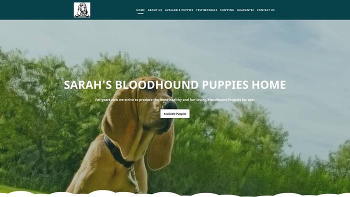 Sarahsbloodhoundpuppieshome.com - Bassethound Puppy Scam Review