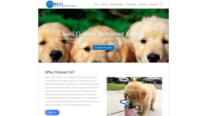 Savigoldenretrieverfamily.com - Golden Retriever Puppy Scam Review