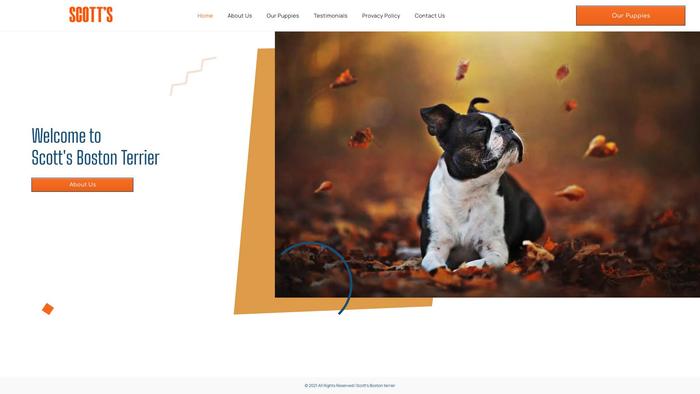 Scottsbostonterrier.com - Terrier Puppy Scam Review