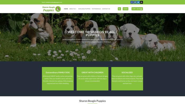 Sharonbeaglepuppies.com - Beagle Puppy Scam Review