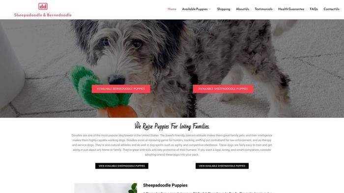 Sheepadoodleandbernedoodlepups4sale.com - Bernedoodle Puppy Scam Review