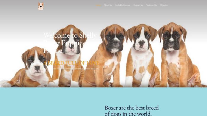 Shellyboxers.com - Boxer Puppy Scam Review