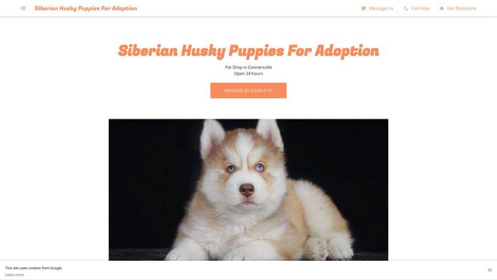 Siberianhuskypuppiesforadoption.com - Husky Puppy Scam Review