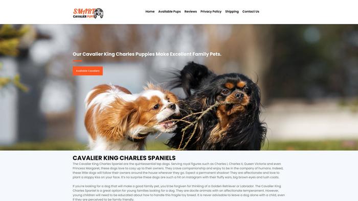 Smartcavalierpups.com - Cavalier King Charles Spaniel Puppy Scam Review