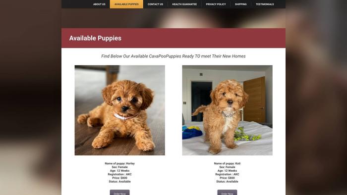 Smartcavapoopuppies.com - Cavapoo Puppy Scam Review