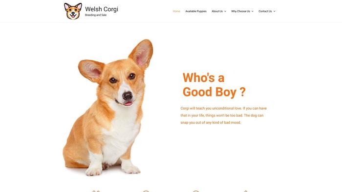 Smartcorgihome.com - Corgi Puppy Scam Review