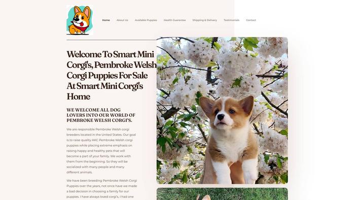 Smartminicorgipuppies.com - Corgi Puppy Scam Review