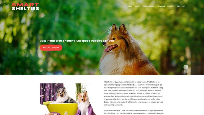 Smartshelties.store - Sheltie Puppy Scam Review