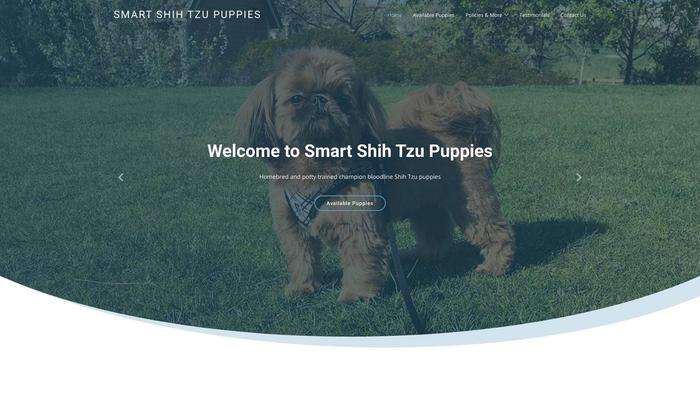 Smartshihtzupuppies.com - Shihtzu Puppy Scam Review