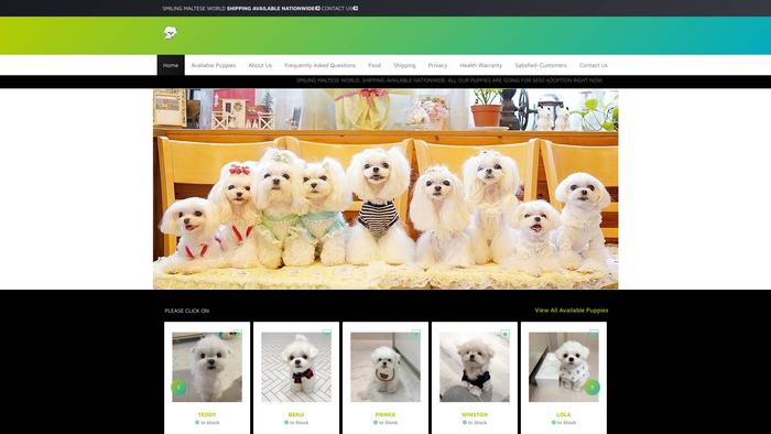 Smilingmaltesegworld.com - Maltese Puppy Scam Review