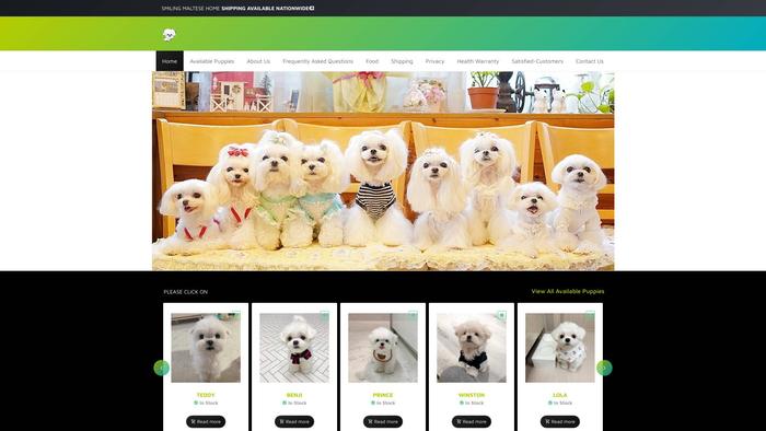 Smilingmaltesepuppies.com - Maltese Puppy Scam Review