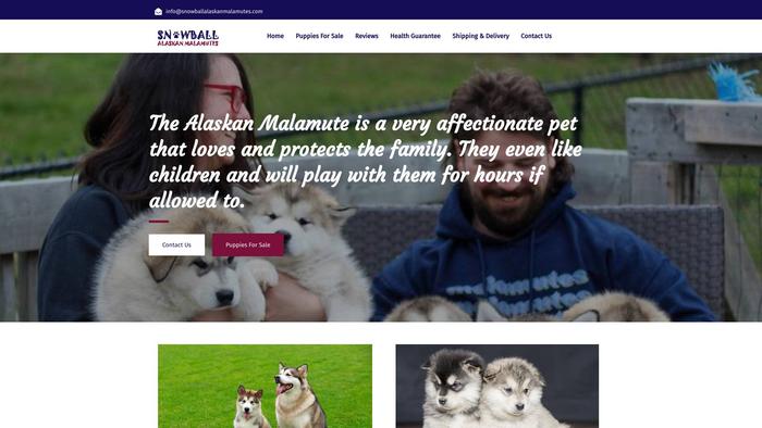 Snowballalaskanmalamutes.com - Malamute Puppy Scam Review