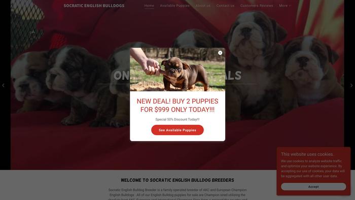 Socraticbulldogs.club - English Bulldog Puppy Scam Review