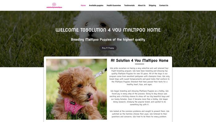 Solution4youmaltipoo.com - Maltipoo Puppy Scam Review