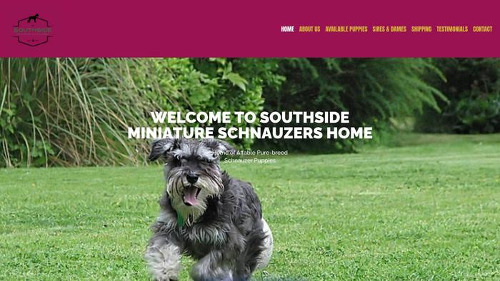 Southsideminischnauzers.com - Schnauzer Puppy Scam Review