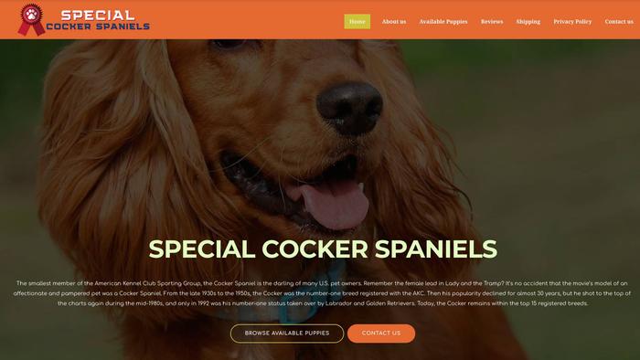 Specialcockerspaniels.com - Cockerspaniel Puppy Scam Review