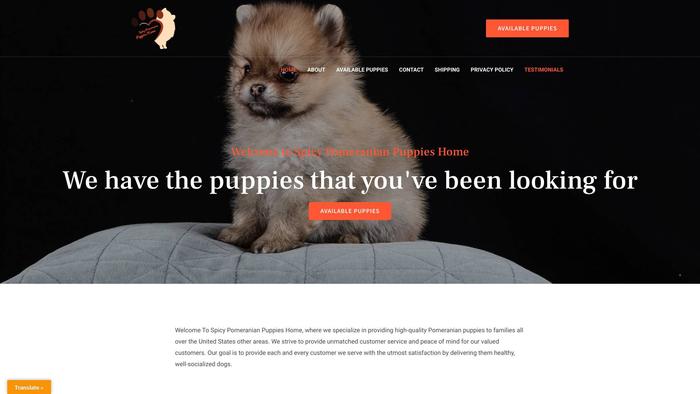 Spicypomeranianpuppieshome.com - Pomeranian Puppy Scam Review