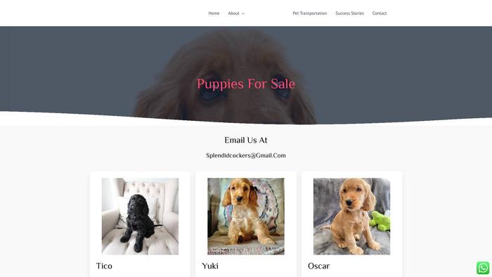 Splendidcockers.com - Cockerspaniel Puppy Scam Review