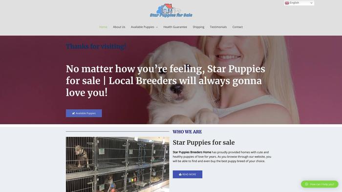 Starpuppiesforsalelocalbreeders.com - Golden Retriever Puppy Scam Review