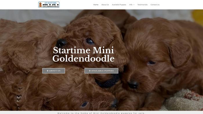 Startimeminigoldendoodle.com - Golden Doodle Puppy Scam Review