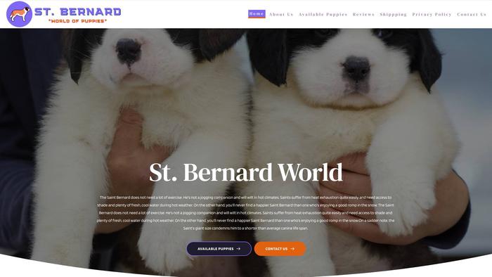 Stbernardworld.com - Saint Bernard Puppy Scam Review