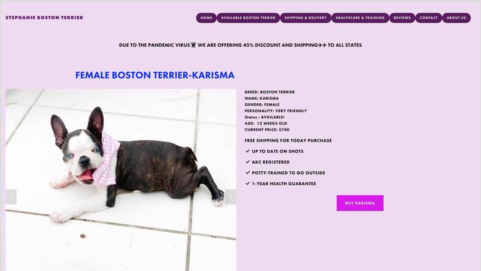 Stephaniebostonterrier.us - Boston Terrier Puppy Scam Review