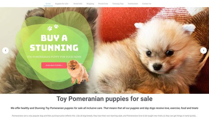 Stunningtoypomeranian.com - Pomeranian Puppy Scam Review